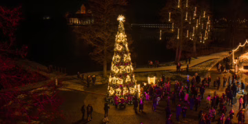 Trakuose sužibo Kalėdų eglė