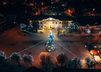 Įžiebta Eišiškių eglė su eglučių alėja