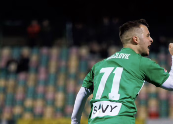 Krašto puolėjas N. Mihajlovičius lieka Vilniuje