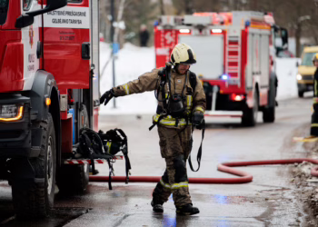Naujieji Lietuvoje: namuose degė suodžiai, po nakties – į konteinerius įmestos petardos