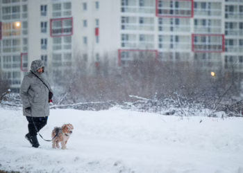 Toliau sningant intensyviausios gatvės jau nuvalytos ir pabarstytos