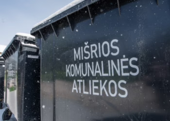 Prišalę atliekos ir karšti pelenai: kaip tinkamai atsikratyti šiukšlių per šalčius?