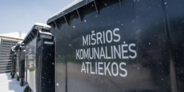 Prišalę atliekos ir karšti pelenai: kaip tinkamai atsikratyti šiukšlių per šalčius?