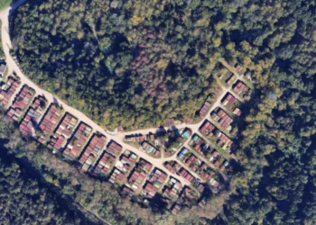 Vietoj garažų – žaliuojantis miškas: jau pradėtas sodinimas S. Batoro g. 