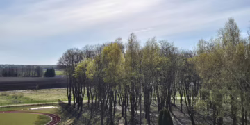 Eišiškėse džiugins naujas laisvalaikio ir poilsio parkas