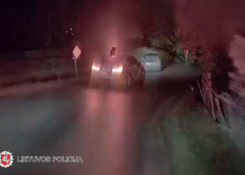 Nuo policijos pareigūnų sprukusio „VW Golf“ vairuotojo kelionė baigėsi pakelės griovyje