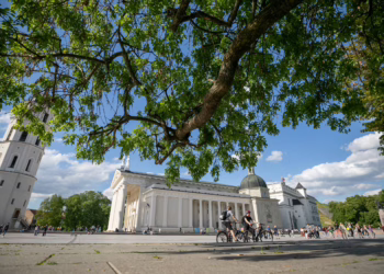 Vilniuje saugotinų medžių sąrašą papildė dar 20 tūkst. medžių