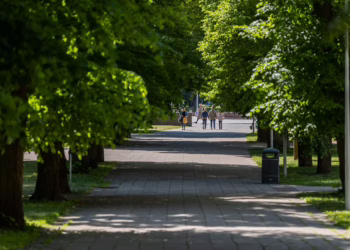 Gedimino kalno papėdėje atnaujinami takai, dviračių infrastruktūra ir gėlynai