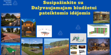 Dalyvaujamasis biudžetas: susipažinkite su gyventojų idėjomis