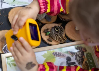 Prie Žirmūnų tilto – Upės festivalio atradimai: nuo literatūros iki gamtos patirčių