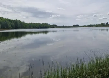 Naujausi tyrimai: Gineitiškių, Aliejūnų ežeruose ir Nemėžio tvenkinyje maudytis laikinai nerekomenduojama